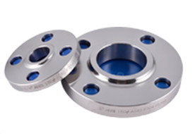 Stainless Steel Flanges