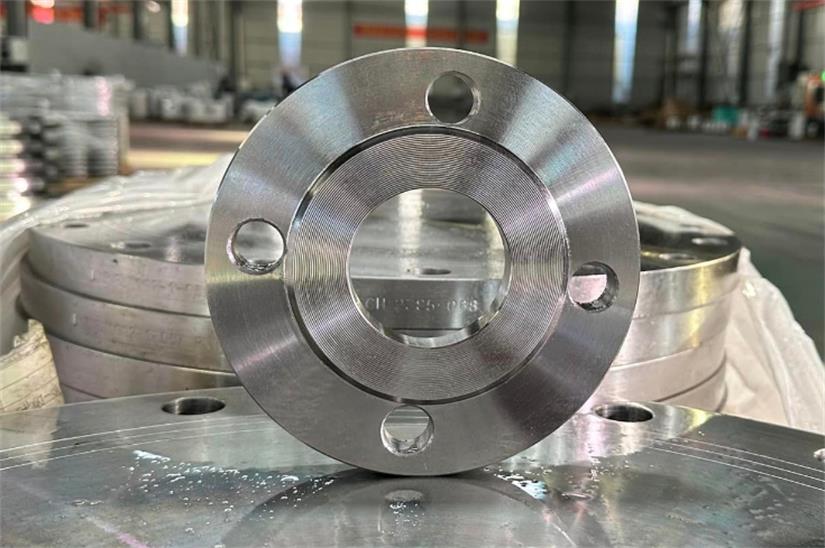 stainless steel flanges